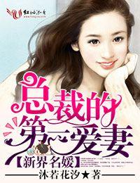 新界名媛总裁的第一爱妻全本免费