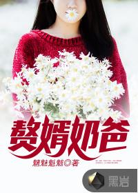 赘婿奶爸短剧在线观看