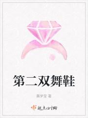 一双舞蹈鞋